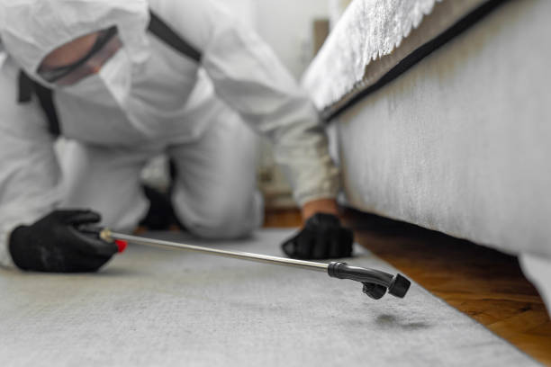 Professional Bed Bug Control technician working in Middlebranch, OH